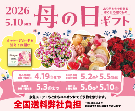 母の日ギフト特集2026