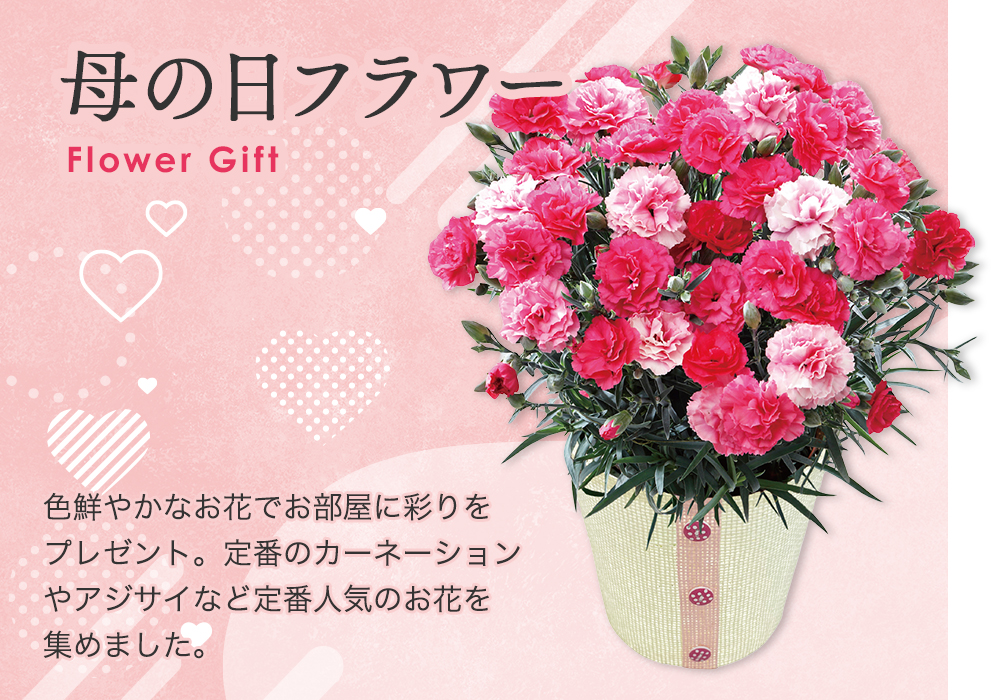 母の日フラワーギフト 色鮮やかなお花でお部屋に彩りをプレゼント。定番のカーネーションやアジサイなど定番人気のお花を集めました。